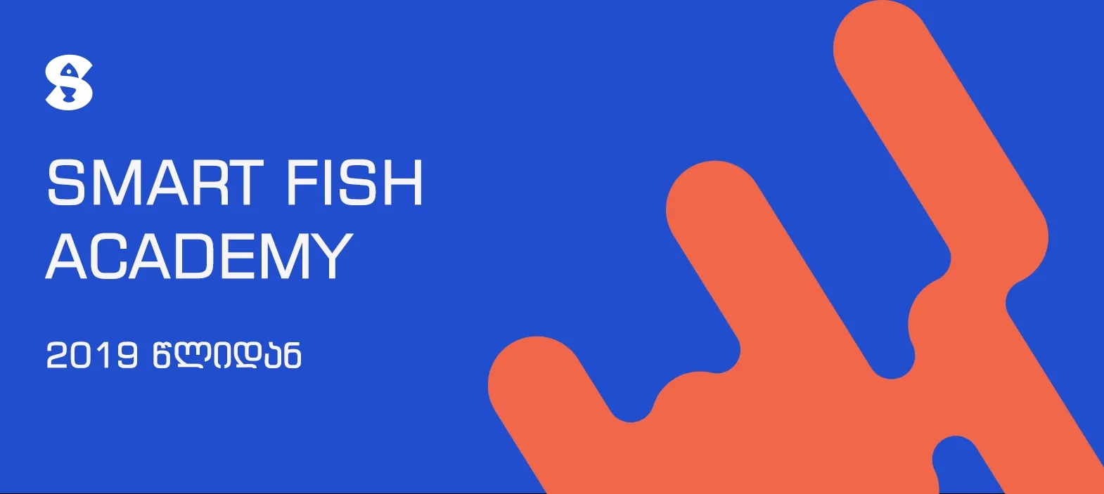 სმარტ ფიშ აკადემიის შესახებ