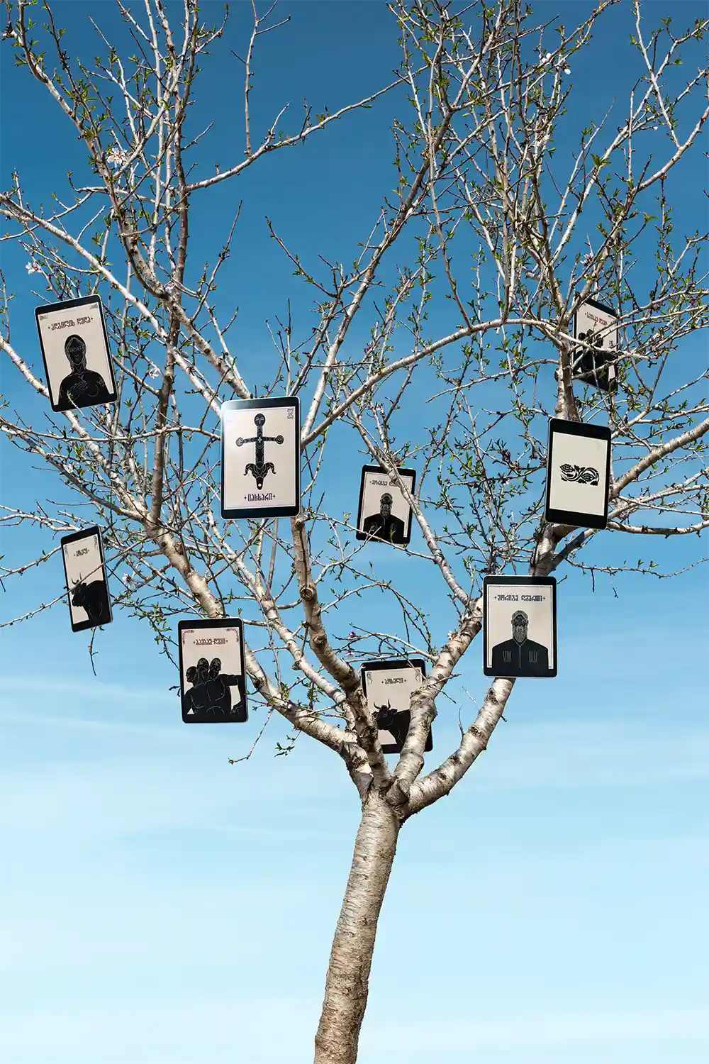 მარიამ გოგილაძე - გრაფიკული დიზაინის კურსდამთავრებული