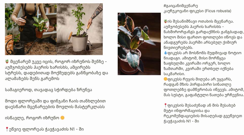 კონტენტისა და ქოფირაითინგის კურსი